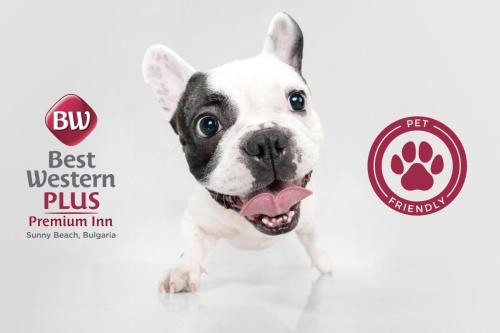 a picture of a dog with its tongue out at Best Western PLUS Premium Inn in Sunny Beach