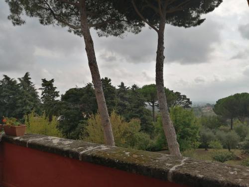 a view from a wall with trees in the background at Vigna dell'Agrifoglio - Bed and Breakfast in Velletri