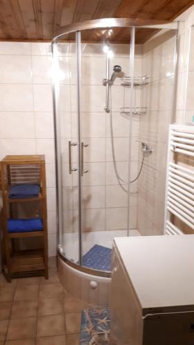 W łazience znajduje się prysznic ze szklanymi drzwiami. w obiekcie Ferienwohnung Schlothauer 2 w mieście Ruhla