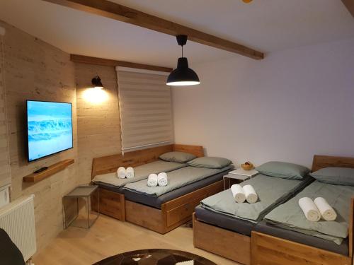 Un dormitorio con dos camas y un televisor de pantalla plana. en Olimpijska Kuća Jahorina, en Jahorina