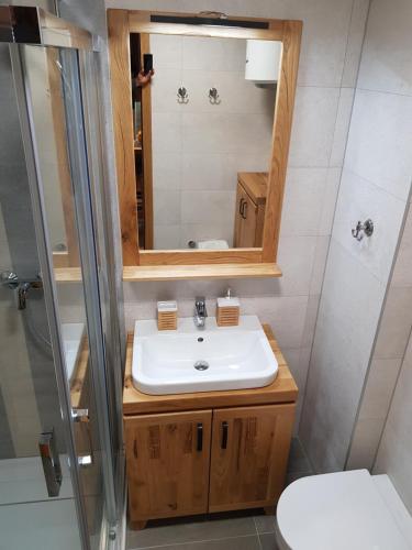 Et badeværelse på Olimpijska Kuća Jahorina