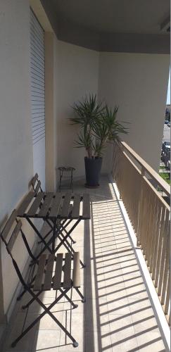 a balcony with a bench and a table and a plant at B&B da Debora in Pisa