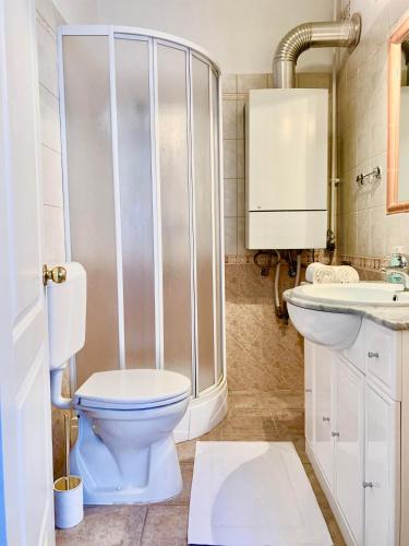 肖普朗的住宿－Fidelissima Apartman，浴室配有卫生间、淋浴和盥洗盆。