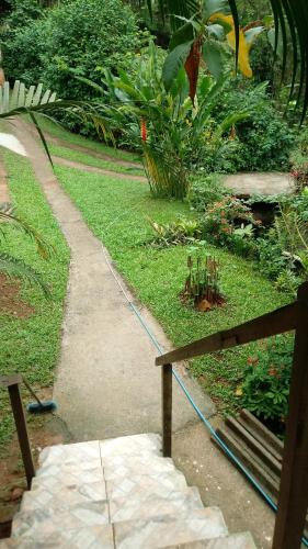 a path in a garden with a bench and plants at Cantinho do Rio in Penedo