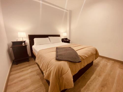 1 dormitorio con 1 cama grande con manta marrón en Nuestro Rinconcito del Soho, en Málaga