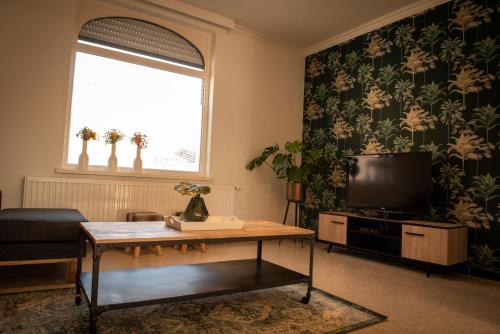 TV a/nebo společenská místnost v ubytování Vakantiewoning Dorp-28