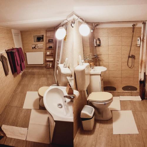 a bathroom with a toilet and a sink at Roca House in Braşov