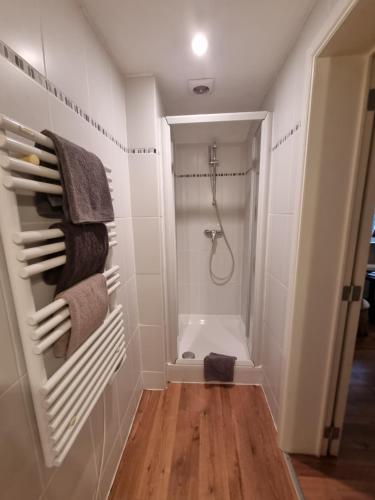 a bathroom with a shower and a bath tub at Manoir du bois des rêves in Lacroix