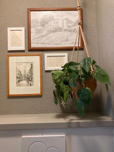 Fotografie z fotogalerie ubytování Auberge Sans Souci v destinaci Valkenburg