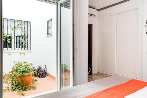 a bedroom with a sliding glass door and a plant at Cool Sevilla Hotel in Seville