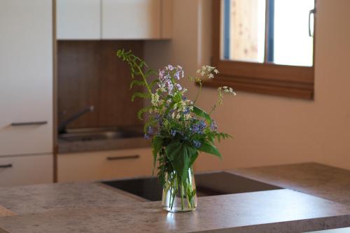 Dapur atau dapur kecil di Das Koralpenchalet...Sonne, Wald, Natur!