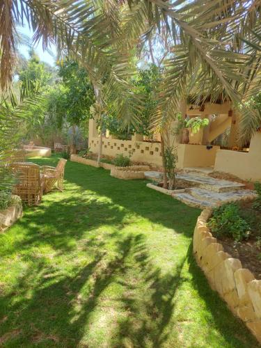 Zahrada ubytování Nour El Waha Hotel