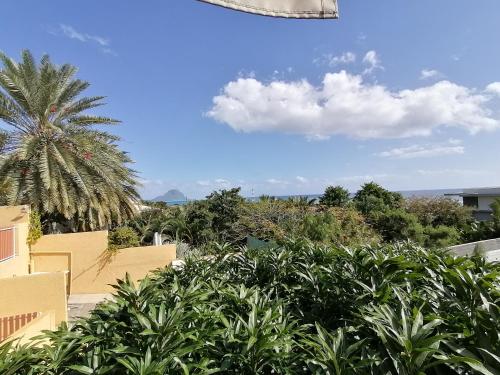 a view from the balcony of a resort with a palm tree at Terre et Mer - Studios - Ile Maurice in Rivière Noire
