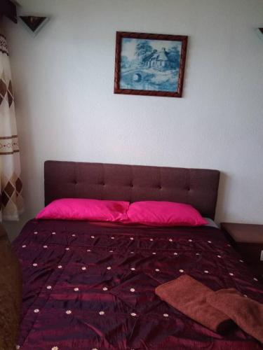 a bed with pink pillows and a picture on the wall at The Barn private home @ Sri Sayang Apartment in Batu Ferringhi