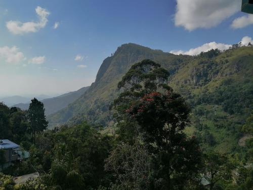 Paesaggio naturale nelle vicinanze della stanza in casa privata