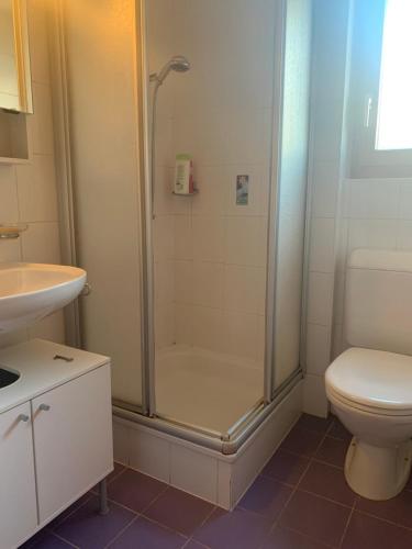 uma casa de banho com um chuveiro, um WC e um lavatório. em Appartement dans chalet em Les Collons