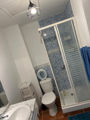 a bathroom with a shower and a toilet and a sink at Appartement loft toit/terrasse in Sigean