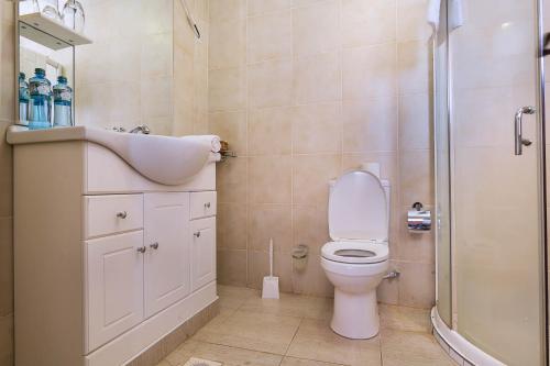 a bathroom with a toilet and a sink and a shower at Lake Bogoria Spa Resort in Marigat