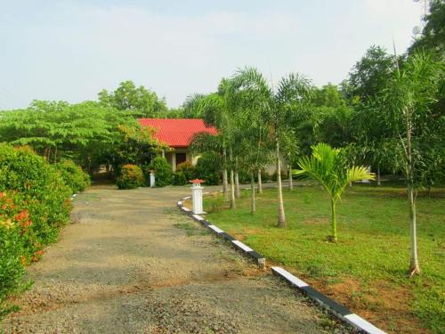 Hotel Tree Garden Wilpaththu Nochchiyagma Anuradhapuraにある庭