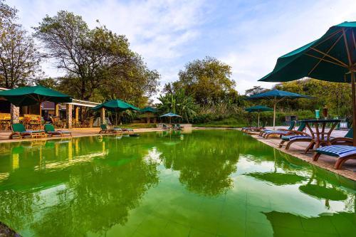 a swimming pool with chairs and umbrellas and a pool at Lake Bogoria Spa Resort in Marigat