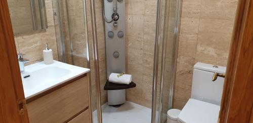 a bathroom with a shower and a sink and a toilet at Ayuntamiento - Precioso con parking y WIFI in Oviedo