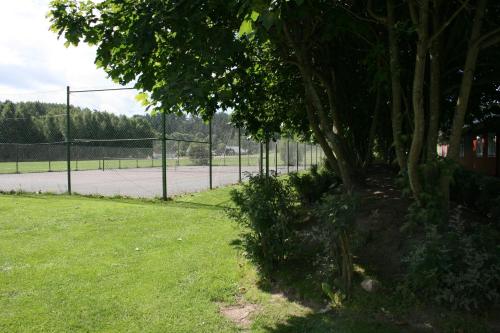 a tree in the grass next to a tennis court at Degeberga Vandrarhem in Degeberga
