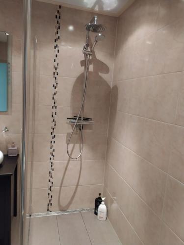 a shower with a black cat sitting in a bathroom at Valouwe 54 in Appelscha