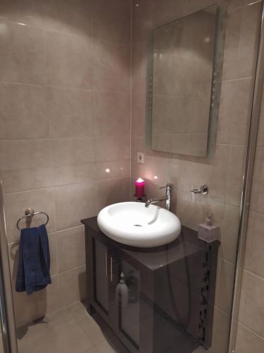 a bathroom with a sink and a shower with a mirror at Valouwe 54 in Appelscha
