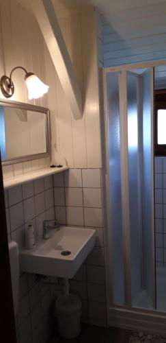 a bathroom with a sink and a mirror and a shower at Garten Vendégház in Eger