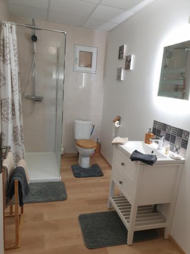 a bathroom with a shower and a sink and a toilet at Gîte domaine de la galopade in Étréaupont