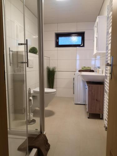 a bathroom with a shower and a toilet and a sink at Ferien am Wald in Baiersbronn