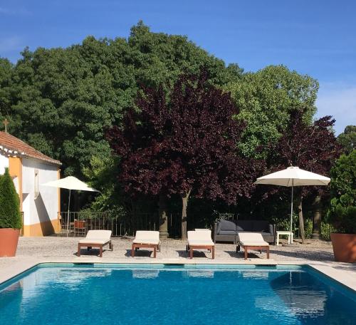 a swimming pool with chairs and umbrellas in a yard at Quinta do Casal de Santo António in Alenquer