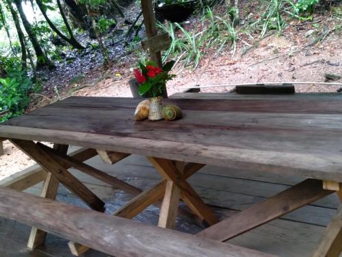 una mesa de picnic de madera con un jarrón de flores. en Reserva Natural Selva Mojada, en Nuquí