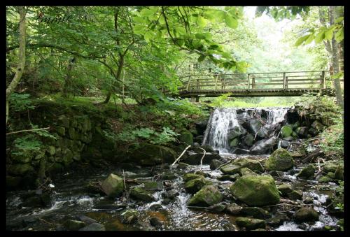 a bridge over a creek with a waterfall at Degeberga Stugby in Degeberga