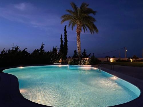 a large swimming pool with a palm tree at night at Breathtaking view guesthouse in Psalidi