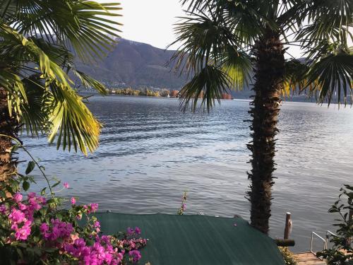 a view of a lake with a palm tree and flowers at Casa Conti al Lago in Ronco s/Ascona - Porto Ronco