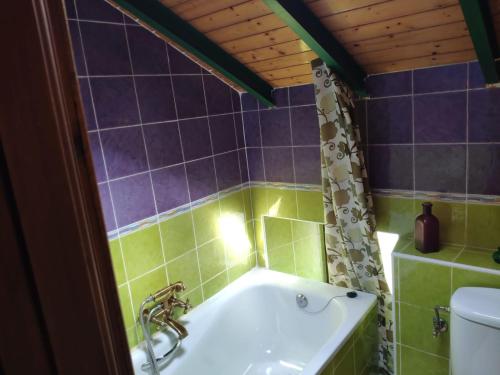 a bathroom with a bath tub and a toilet at Casa La Fonte in Barcia
