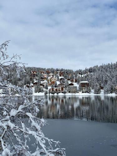 Studio Arosa von Swisspartments