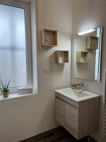 une salle de bain avec un lavabo, un miroir et une fenêtre dans l'établissement Appartement 2 personnes : LES CANAUX, à Amiens