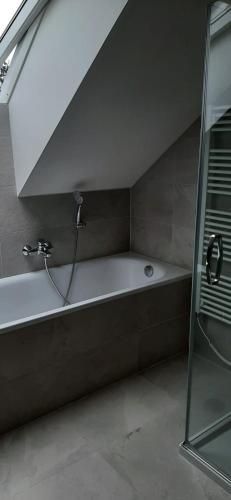 a bath tub in a bathroom with a shower at Chata Lipno U Hajenky in Lipno nad Vltavou