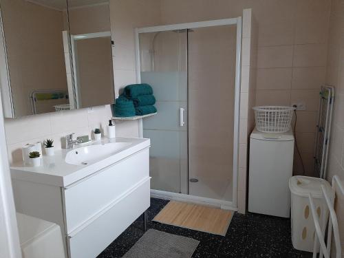 a white bathroom with a sink and a shower at Villa des petites Chaumes in Avallon