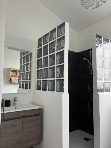 a bathroom with a sink and a shower with glass panels at LA BERGE in Amiens