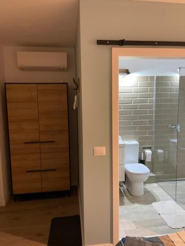 uma casa de banho com um WC e uma porta de duche em vidro. em Maremi em Timisoara