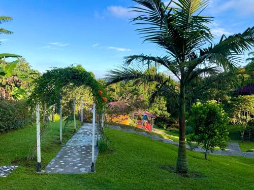 a garden with palm trees and a walkway at Casa de Campo Milagros in Filandia