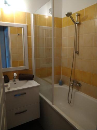 a bathroom with a tub and a sink and a shower at appartement au calme face au lac in Marciac