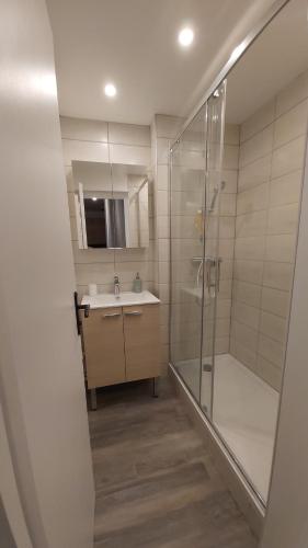 y baño con ducha y lavamanos. en Menuires - Appart moderne 5 pers+Parking couvert, en Les Menuires