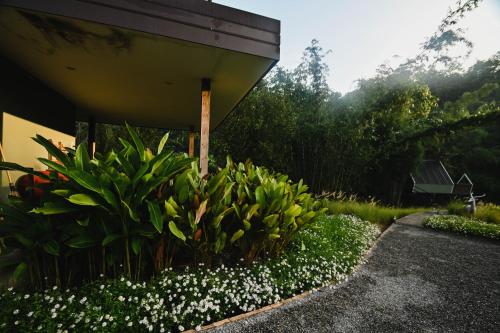 Κήπος έξω από το AomlongHomenon(อมลอง โฮมนอน)