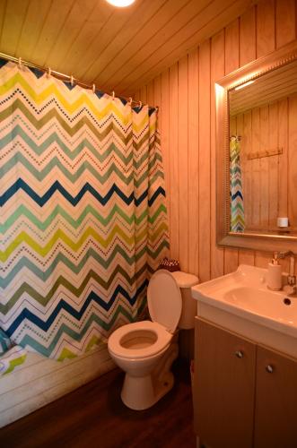 a bathroom with a toilet and a sink at Nativo Lodges in Panguipulli