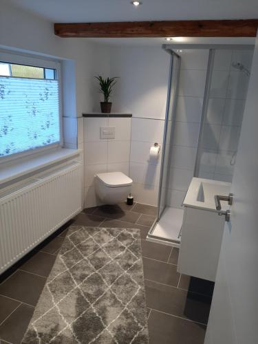 ein Bad mit einem WC, einem Waschbecken und einem Fenster in der Unterkunft Ferienwohnung Alte Glaserei in Ilsenburg
