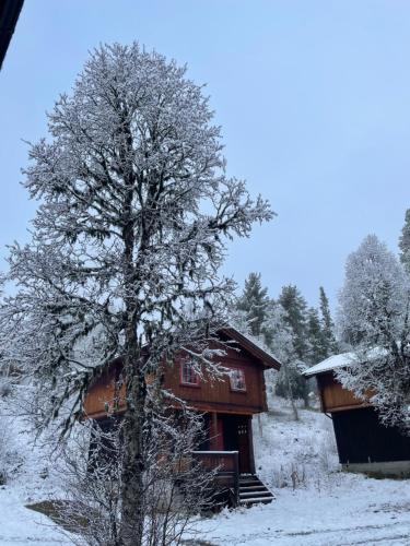 
Måsåplassen Friisvegen Mountain Lodge om vinteren
